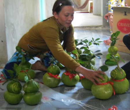 phong thủy và cây cảnh, cây cảnh và phong thủy, cây phong thủy, cây cảnh phong thủy, phong thuy va cay canh, cay canh va phong thuy, cay phong thuy, cay canh phong thuy